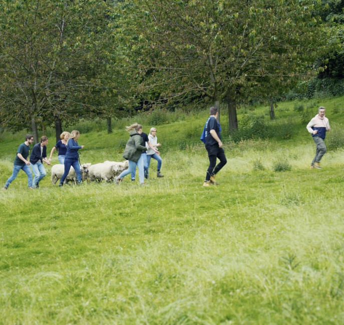 Schermafbeelding 2024 06 24 om 09 28 10