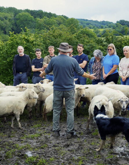 Schermafbeelding 2024 06 24 om 09 21 18